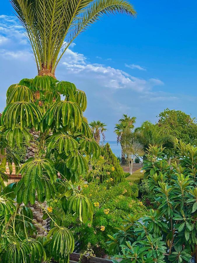 The Mediterranean Sea At Your Doorstep!! Meneou Exterior foto
